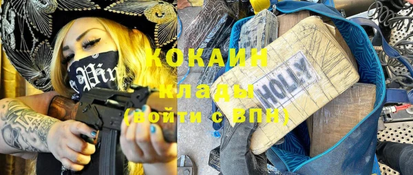 хмурый Осинники