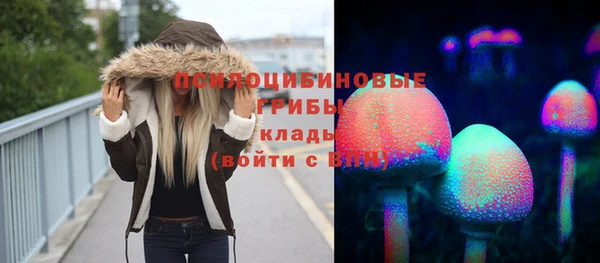 хмурый Осинники