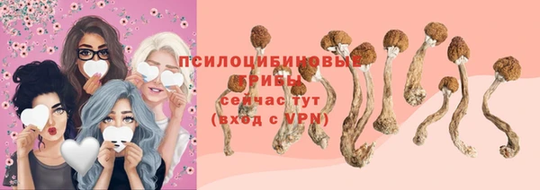 прущая мука Осташков