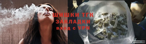 хмурый Осинники
