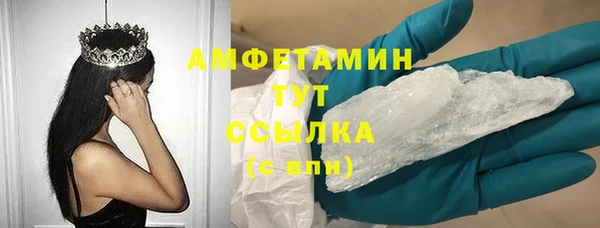 крисы Абаза