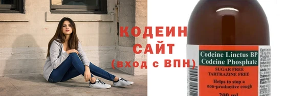 крисы Абаза
