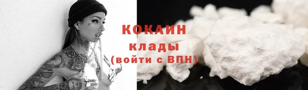 хмурый Осинники