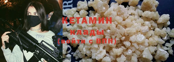 крисы Абаза