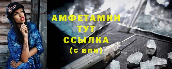 крисы Абаза